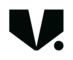 V.Group